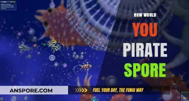 Pirating Spore: Ethical, Legal, and Technical Considerations Explained