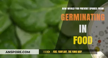 Preventing Spores from Germinating in Food: Effective Strategies for Safety
