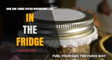 Extend Oyster Mushroom Freshness: Smart Fridge Storage Tips Revealed