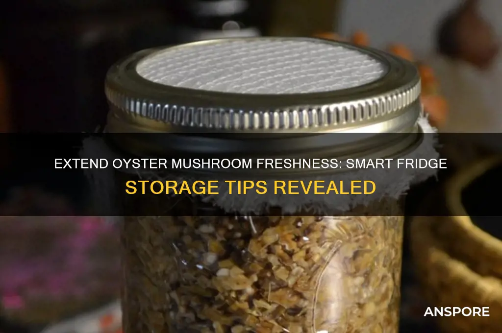 how xan i make oyster mushrooms last in the fridge