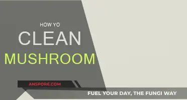 The Ultimate Guide to Cleaning Mushrooms