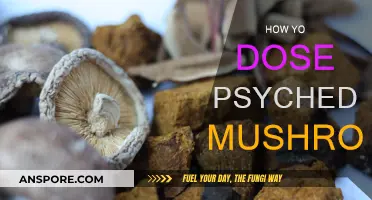 A Beginner's Guide to Microdosing Magic Mushrooms