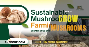 Mastering Mushroom Cultivation: A Beginner's Guide to Growing Mushrooms
