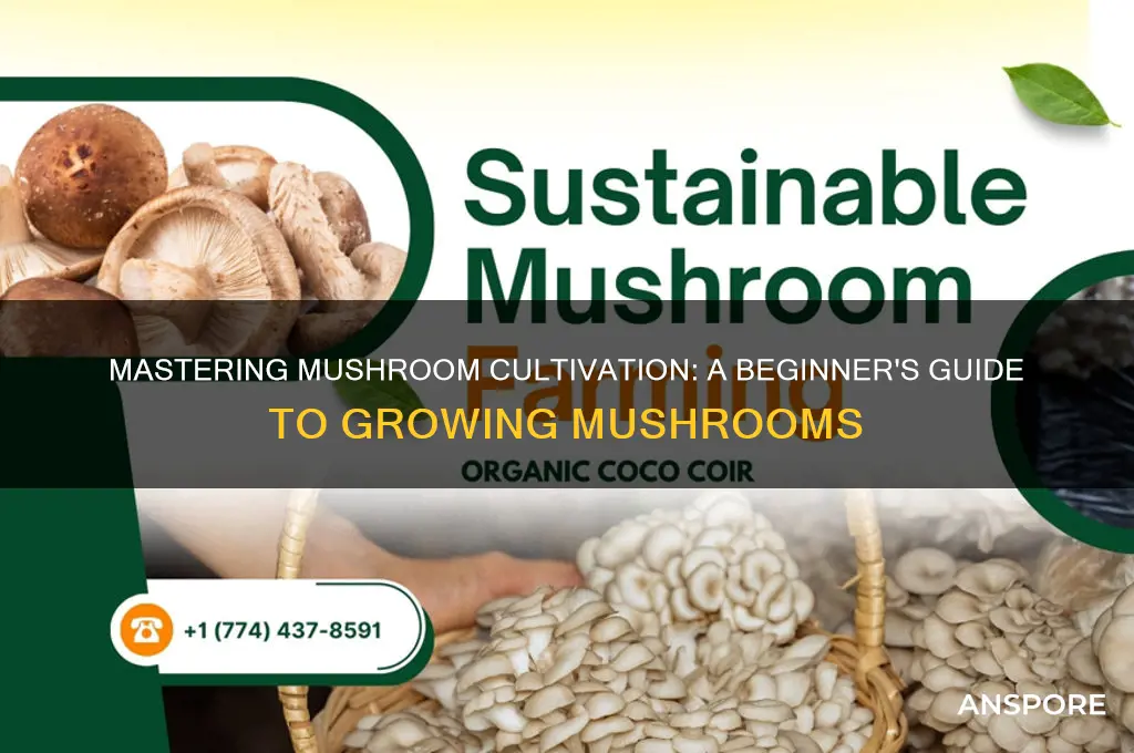 how yo grow mushrooms
