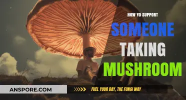 Guiding a Friend Through a Mushroom Trip: Essential Support Tips