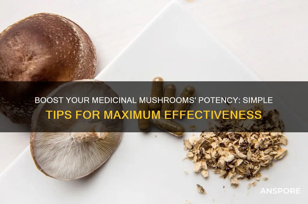 how you can easily make your medicinal mushrooms more effective