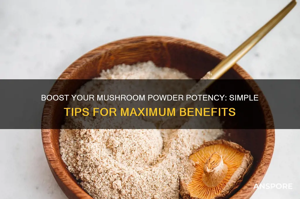 how you can easily make your powdered mushrooms more powerful