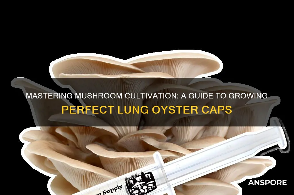 how you doing lung a mushroom cap