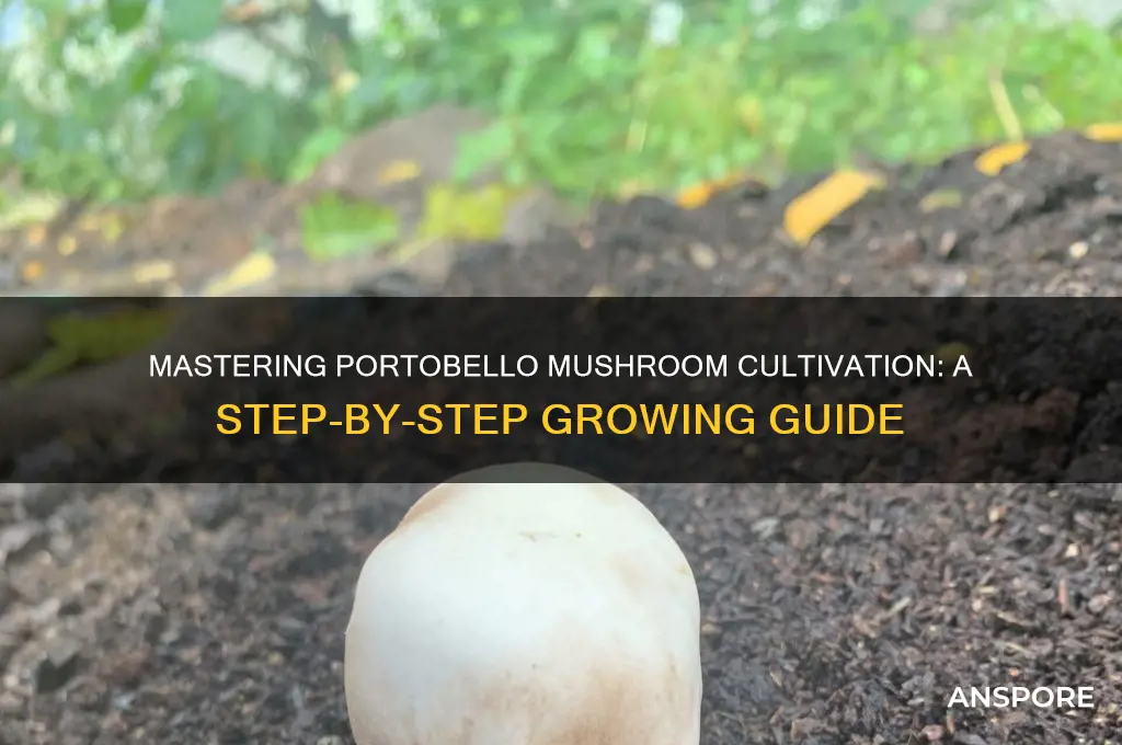 how you growing portobello mushrooms