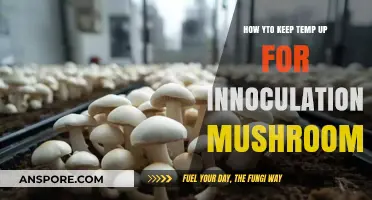 Maintaining Optimal Temperature for Successful Mushroom Inoculation: Expert Tips