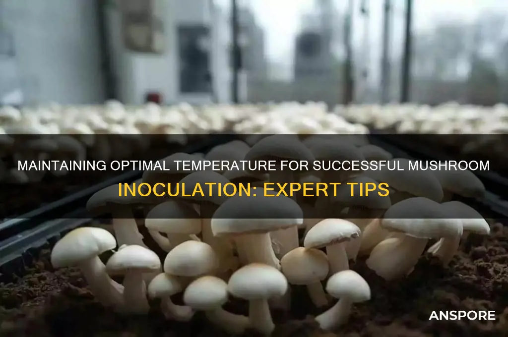 how yto keep temp up for innoculation mushrooms