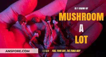 Is 1 Gram of Mushrooms a Lot? Understanding Dosage and Effects