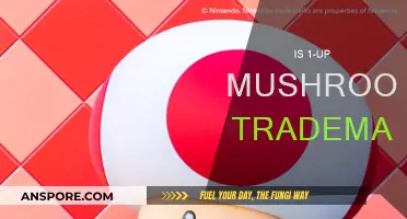 Trademark Battle: 1-Up Mushroom Ownership