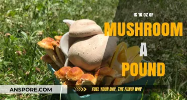 Are 16 Ounces of Mushrooms Equivalent to a Pound? Explained