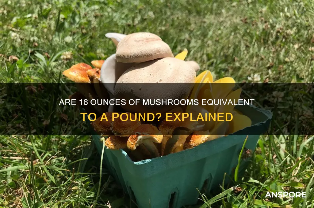 is 16 oz of mushrooms a pound