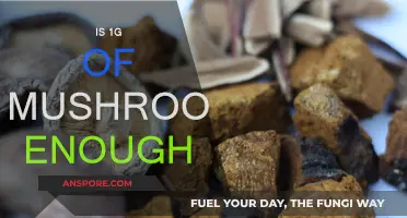 How Little Mushroom is Too Little?