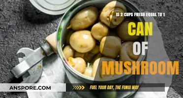 Fresh vs. Canned Mushrooms: Are 2 Cups Equivalent to 1 Can?
