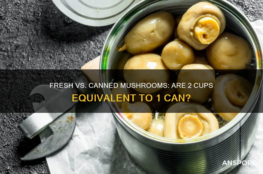 is 2 cups fresh equal to 1 can of mushrooms