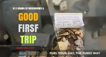 Exploring Your First Trip: Is 2 Grams of Mushrooms Ideal?