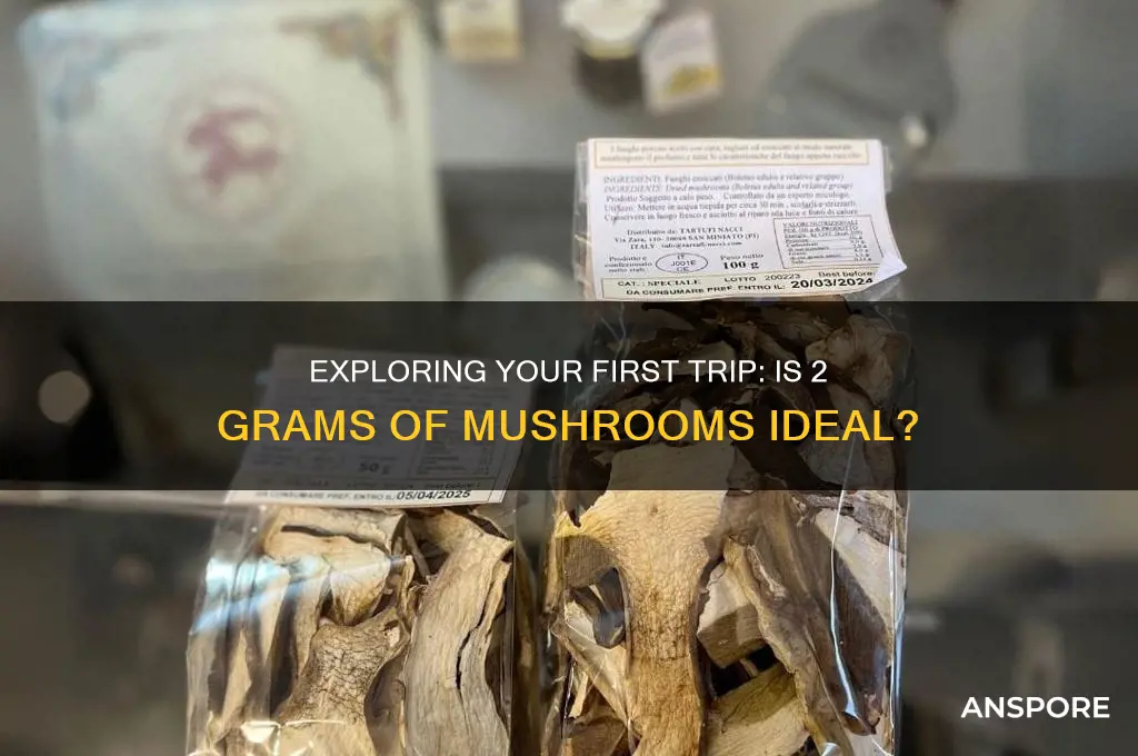 is 2 grams of mushrooms a good firsf trip