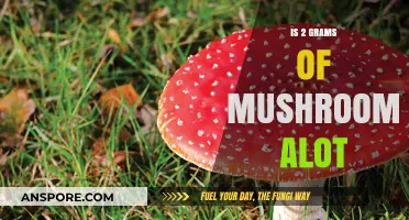 Is 2 Grams of Mushrooms a Lot? Dosage Insights