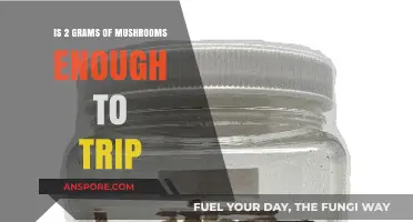 Exploring the Effects: Can 2 Grams of Mushrooms Induce a Trip?