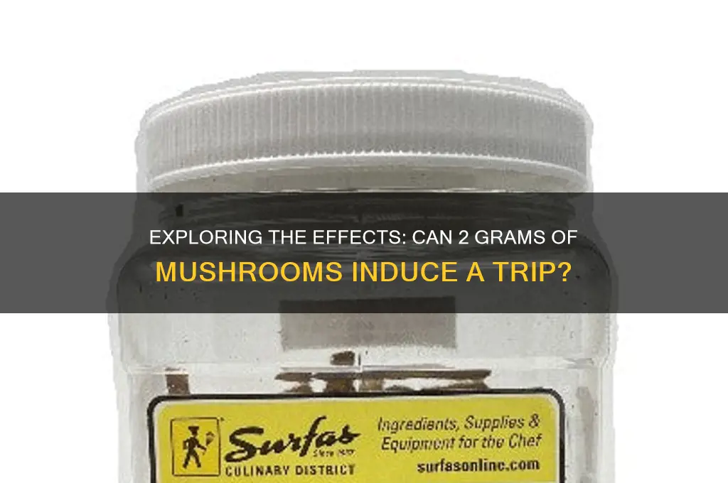 is 2 grams of mushrooms enough to trip