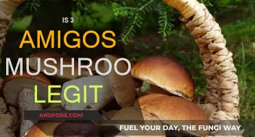 Legit or Not? Three Amigos Mushrooms Reviewed