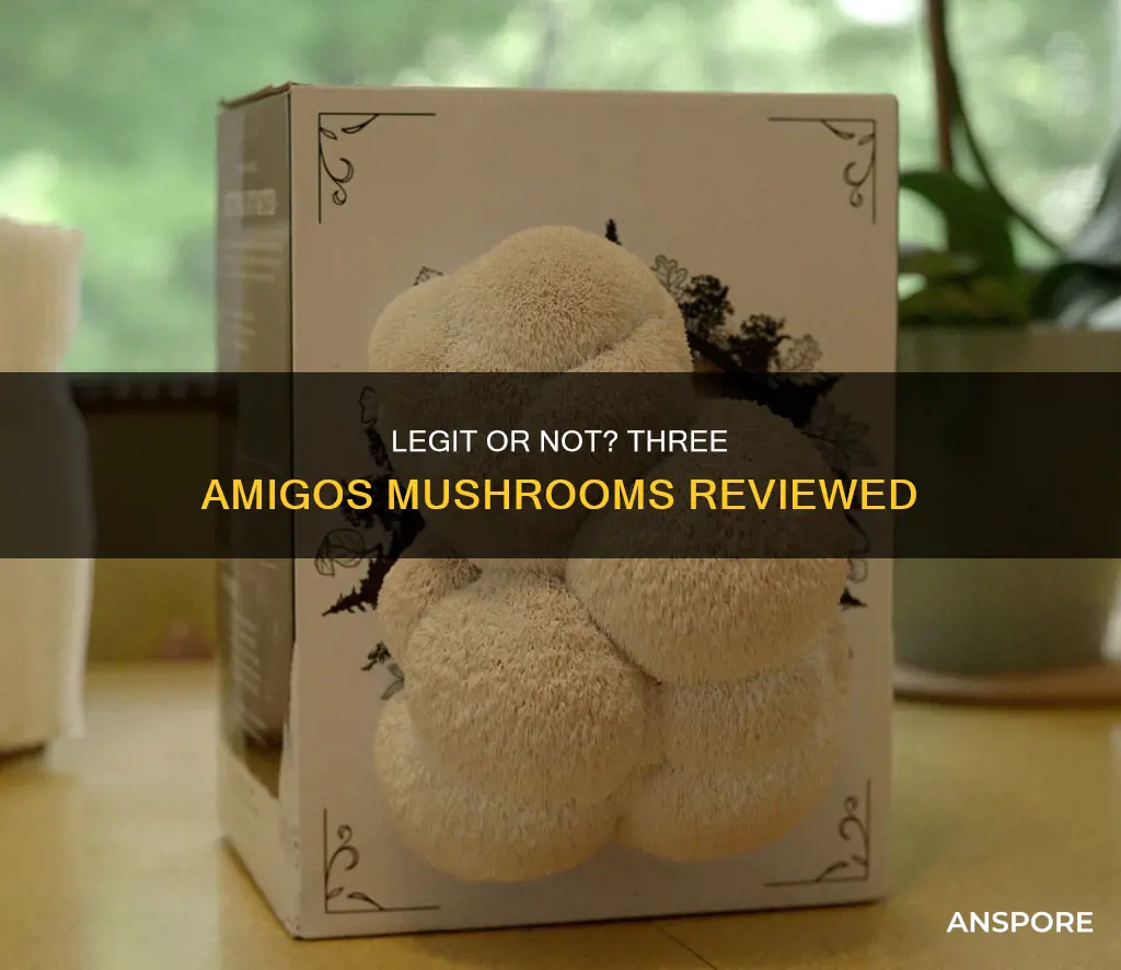 is 3 amigos mushrooms legit