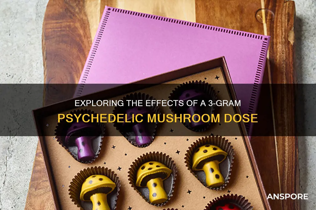 is 3 grams of psychedelic mushrooms
