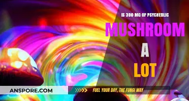 Exploring Psychedelic Dosage: Is 300 mg of Mushrooms Too Much?