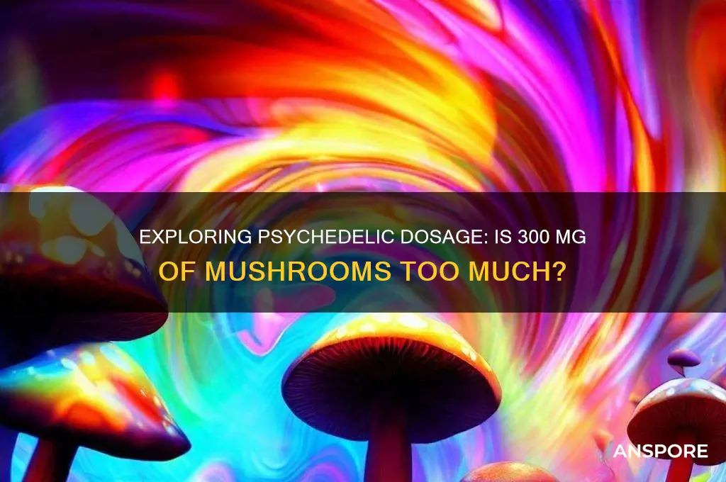 is 300 mg of psychedlic mushrooms a lot