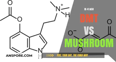 Exploring 4-AcO-DMT vs. Mushrooms: Effects, Safety, and Experiences
