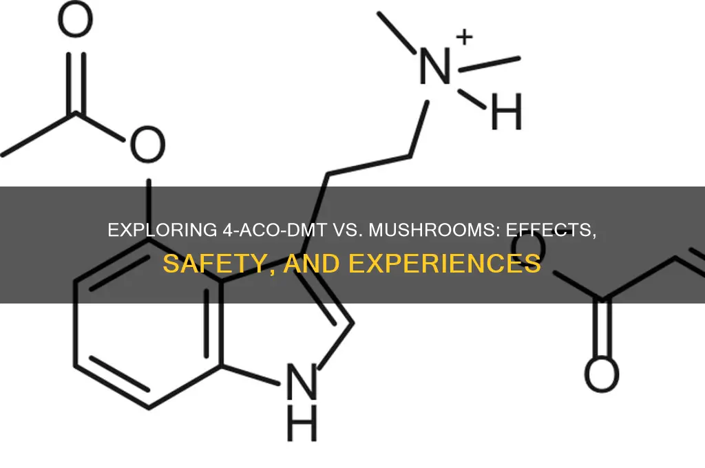 is 4 aco dmt vs mushrooms