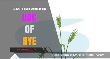 Is 4cc of Spores Excessive for a Single Bag of Rye?