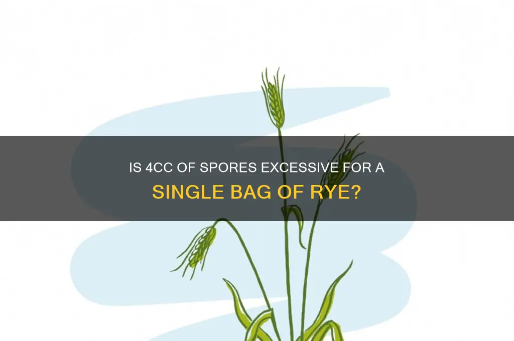 is 4cc to much spores in one bag of rye