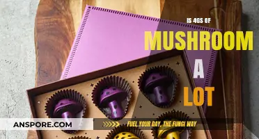 Exploring the Effects: Is 4 Grams of Mushrooms a High Dose?