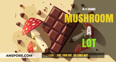 Exploring Dosage: Is 5 Grams of Mushroom a Significant Amount?