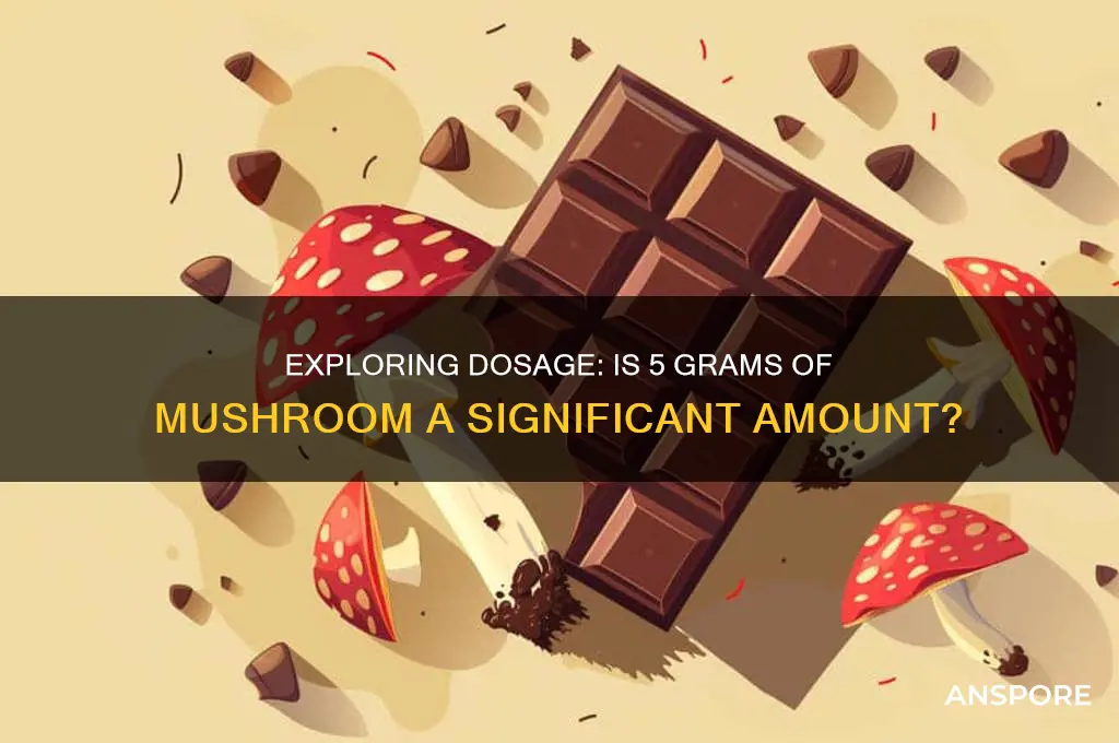 is 5 grams mushroom a lot