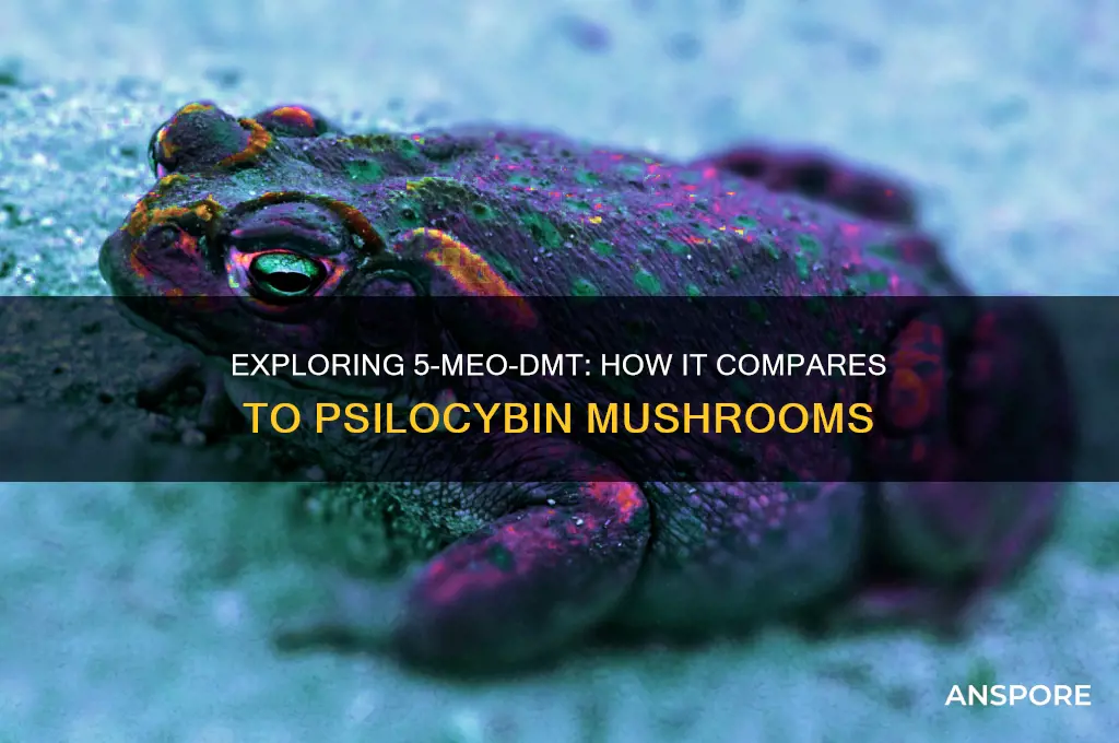 is 5 meo dmt similar to mushrooms