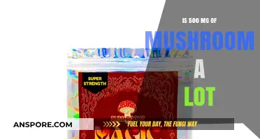 Exploring the Effects of a 500 mg Mushroom Dose