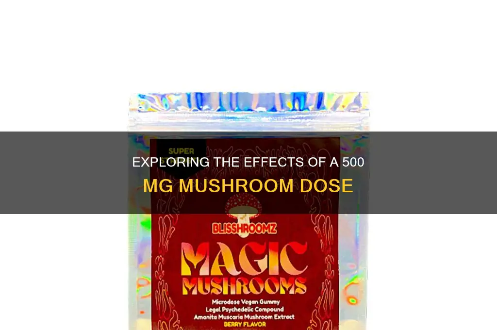 is 500 mg of mushrooms a lot