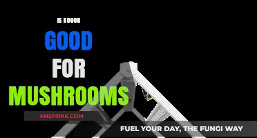 Is 5000K Lighting Ideal for Growing Healthy Mushrooms?