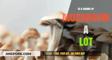 Exploring the Effects: Is 6 Grams of Mushrooms a High Dose?