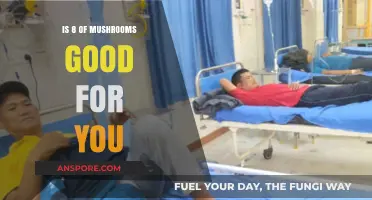 Are Eight Mushrooms a Day Beneficial for Your Health?