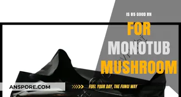 Is 85% RH Ideal for Monotub Mushroom Cultivation? Expert Insights