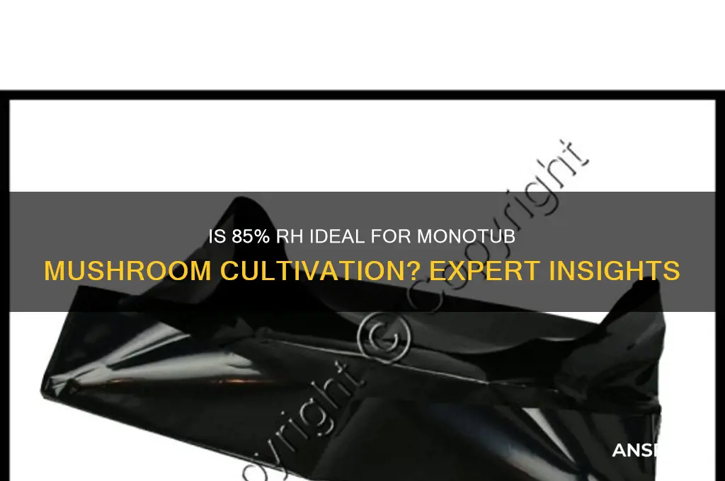 is 85 good rh for monotub mushrooms