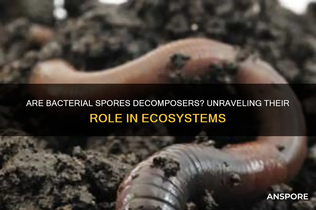 is a bacteria spore a decomposer