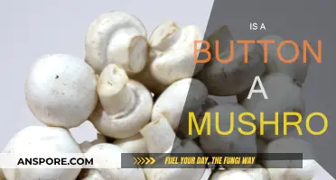 How Do Buttons Differ From Mushrooms?