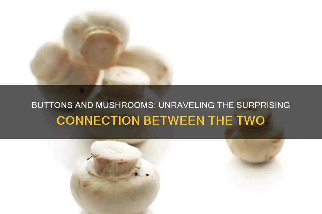 is a button a type of mushroom